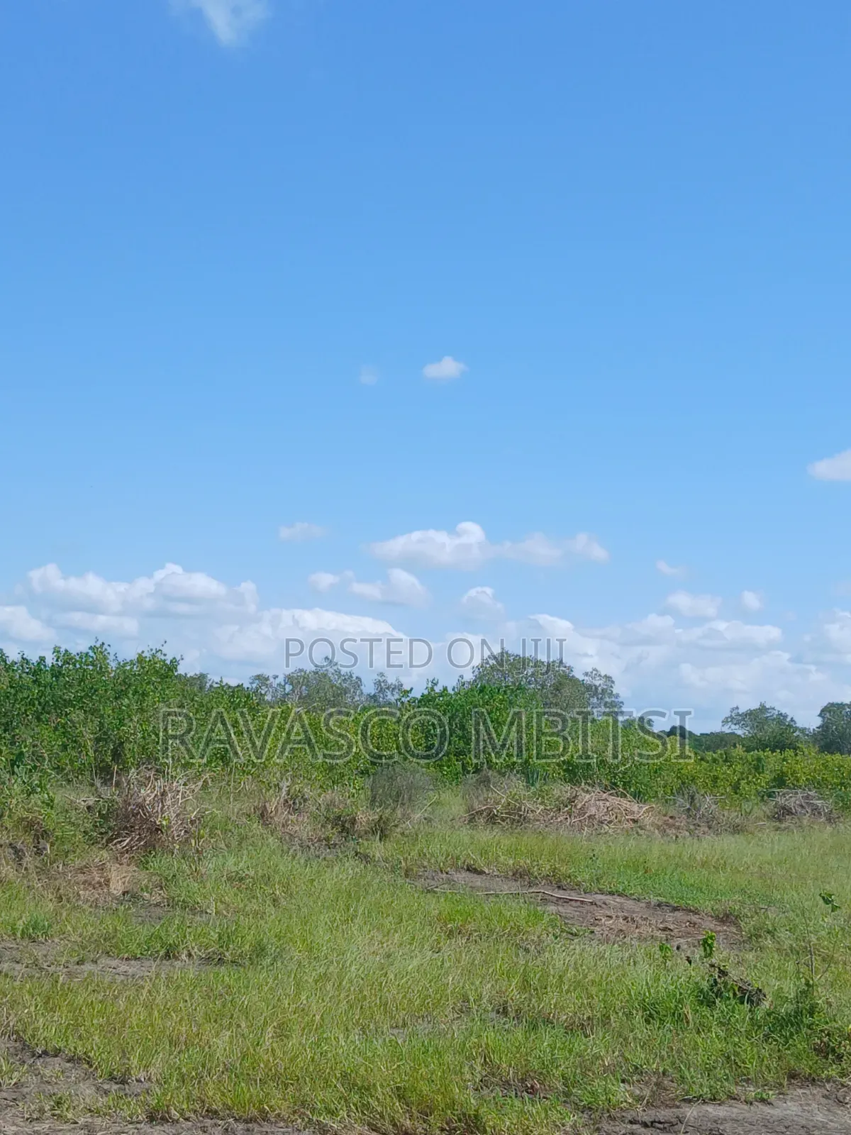 30 Acres Forsale in Malindi Jay's Near to Tangini Primary School. in Marafa