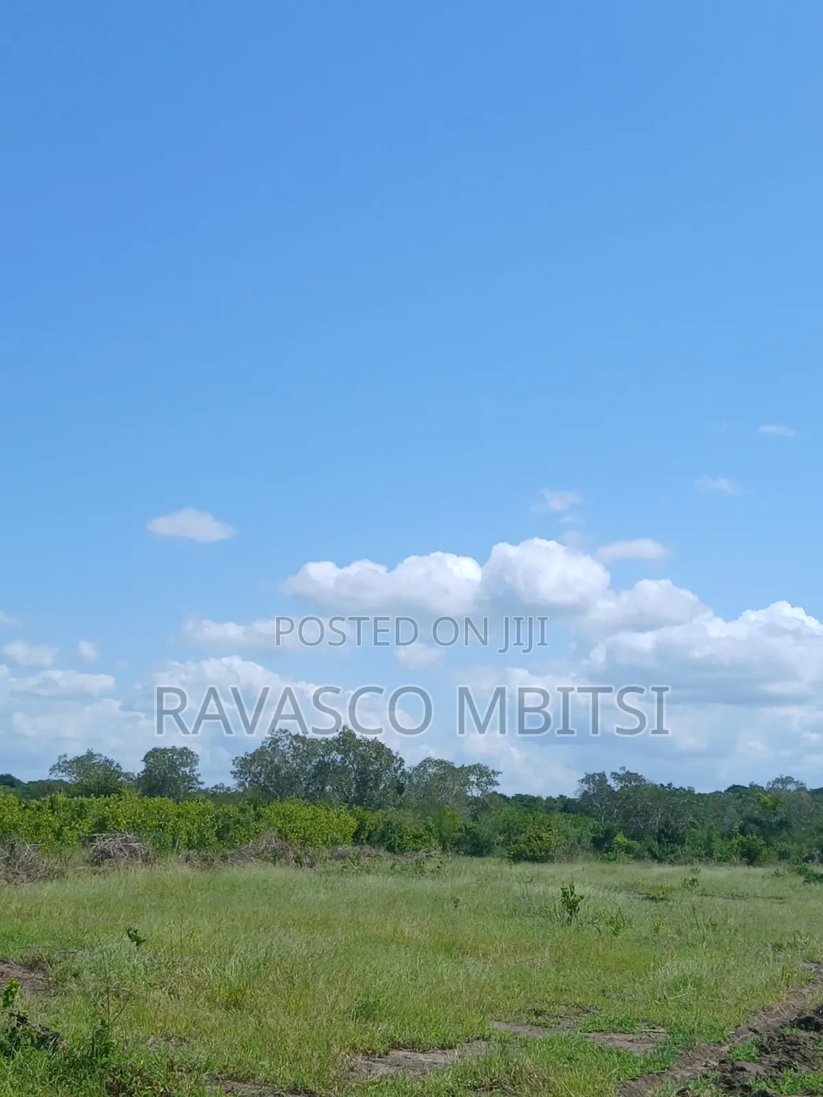 30 Acres Forsale in Malindi Jay's Near to Tangini Primary School. in Marafa