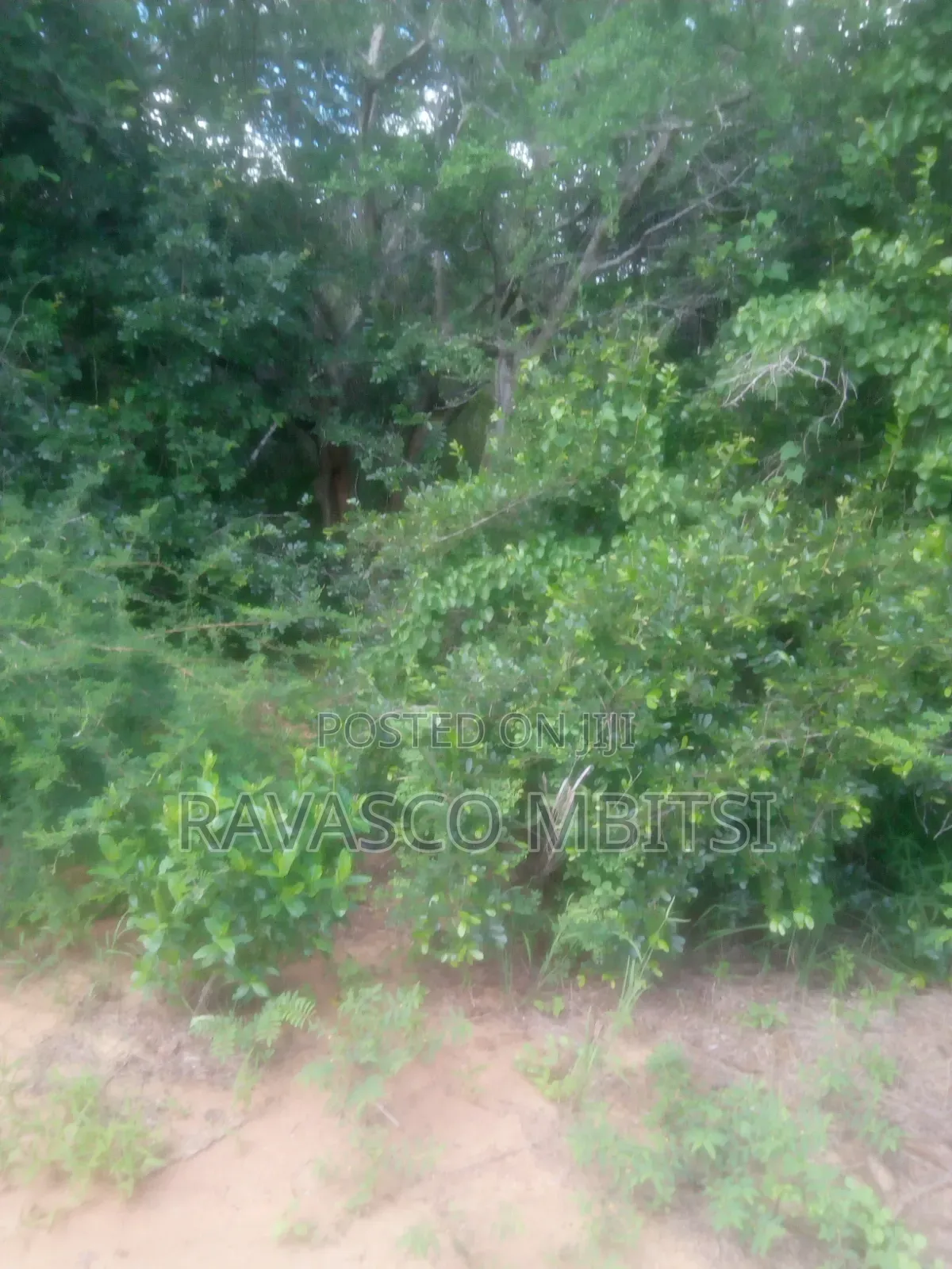 200 Acres Forsale in Malindi Baricho in Marafa