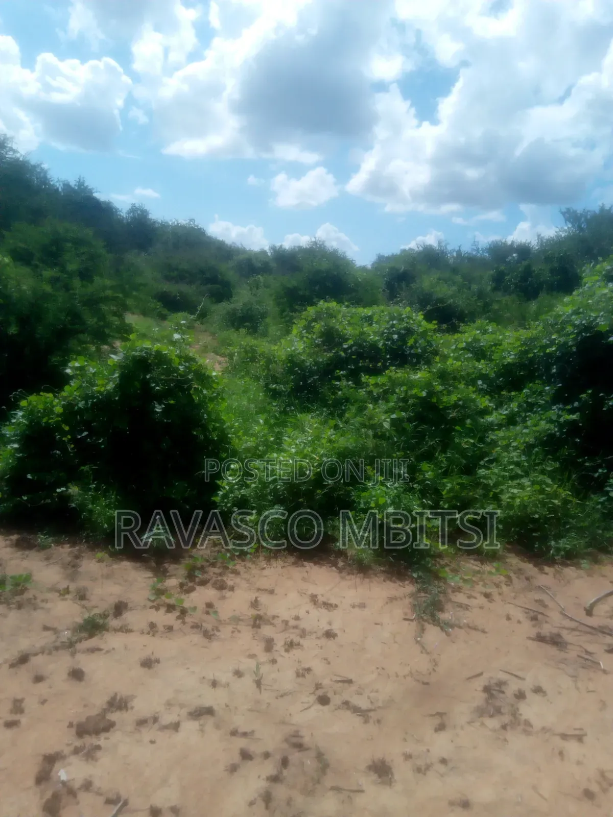 200 Acres Forsale in Malindi Baricho in Marafa