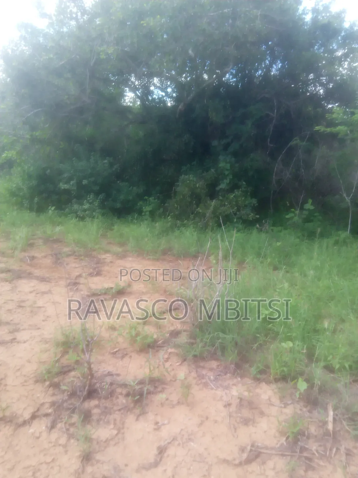 200 Acres Forsale in Malindi Baricho in Marafa