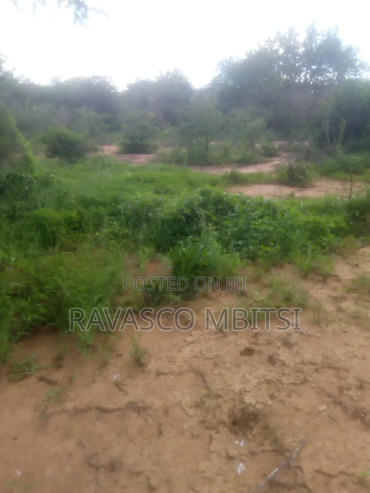 200 Acres Forsale in Malindi Baricho in Marafa