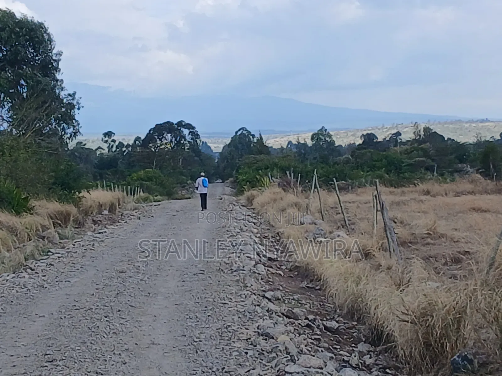 4 Prime Acrea Nanyuki Behind Airstrip Near Op Abdeare Cottages in Nanyuki