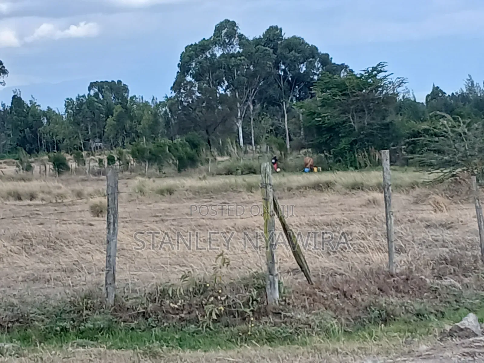 4 Prime Acrea Nanyuki Behind Airstrip Near Op Abdeare Cottages in Nanyuki