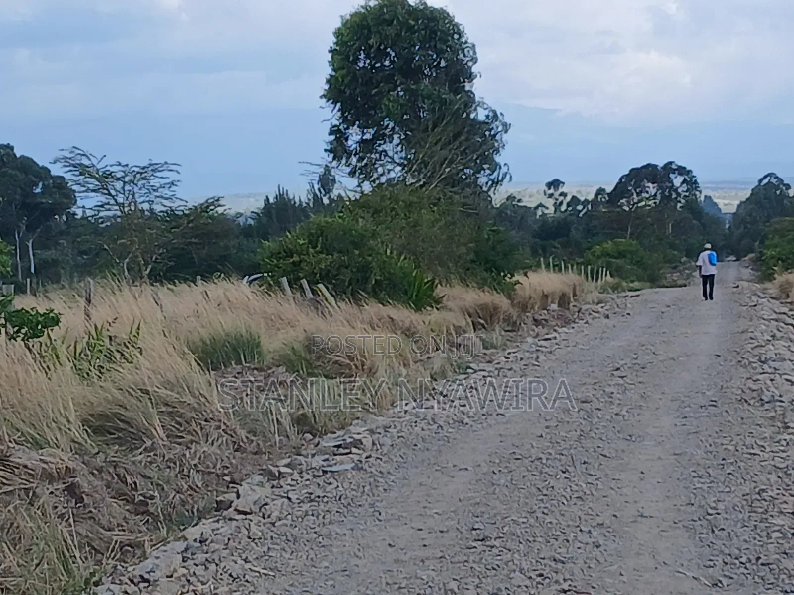 4 Prime Acrea Nanyuki Behind Airstrip Near Op Abdeare Cottages in Nanyuki