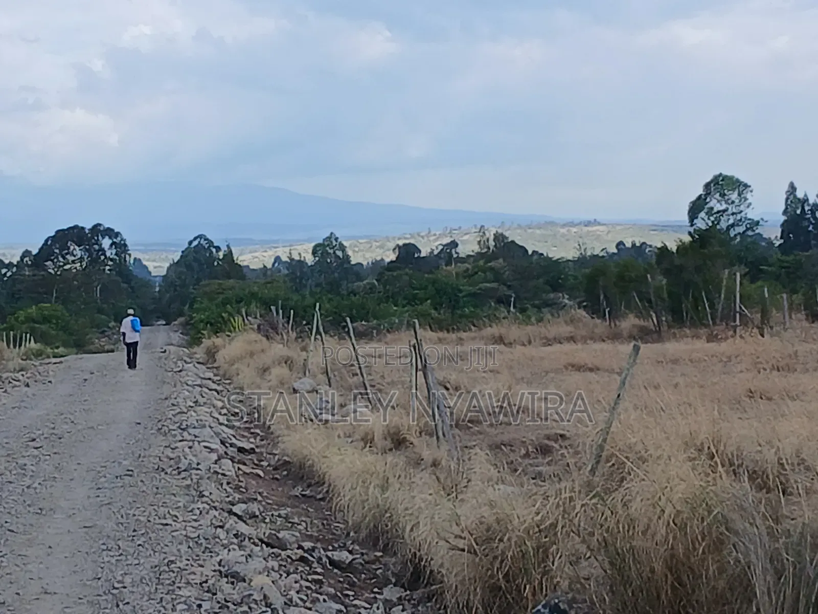 4 Prime Acrea Nanyuki Behind Airstrip Near Op Abdeare Cottages in Nanyuki