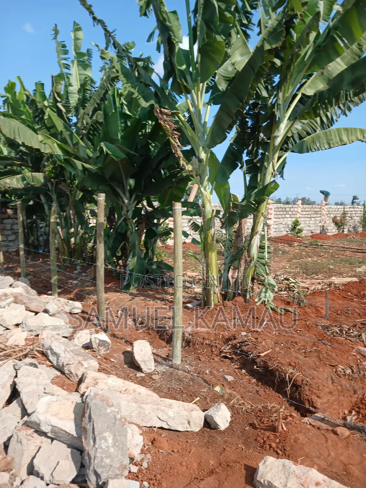 Thika, Maguguni, 1/4 Acre, 2nd Row From Tarmac in Gatuanyaga