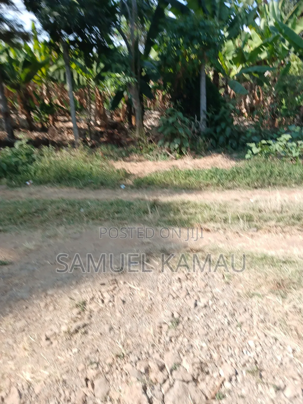 Thika, Maguguni, 1/4 Acre, 2nd Row From Tarmac in Gatuanyaga