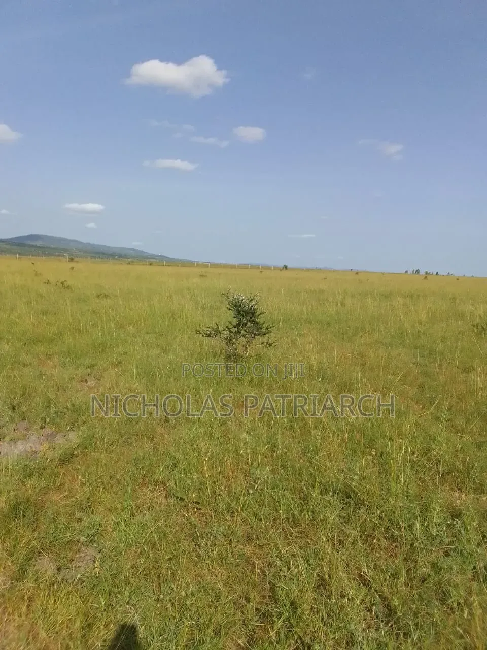 200 Acres Athiriver Near Waridi Farm Selling @ 7m Per Acre in Athi