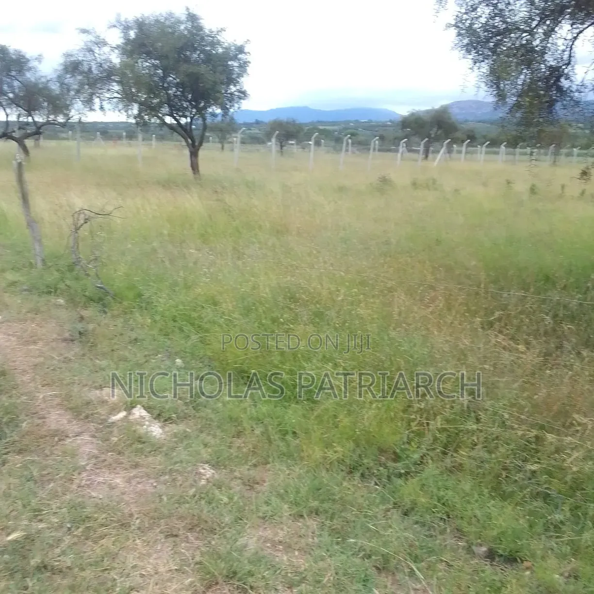 200 Acres Athiriver Near Waridi Farm Selling @ 7m Per Acre in Athi