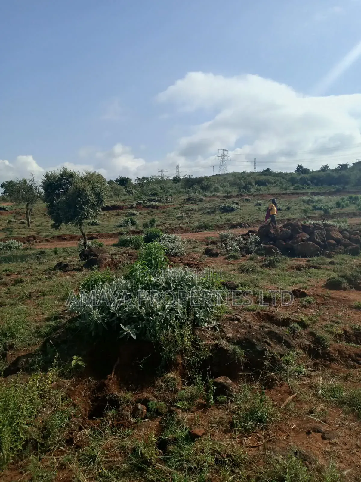 1/4 Plots for Sale Near Tarmac in Ngong CBD