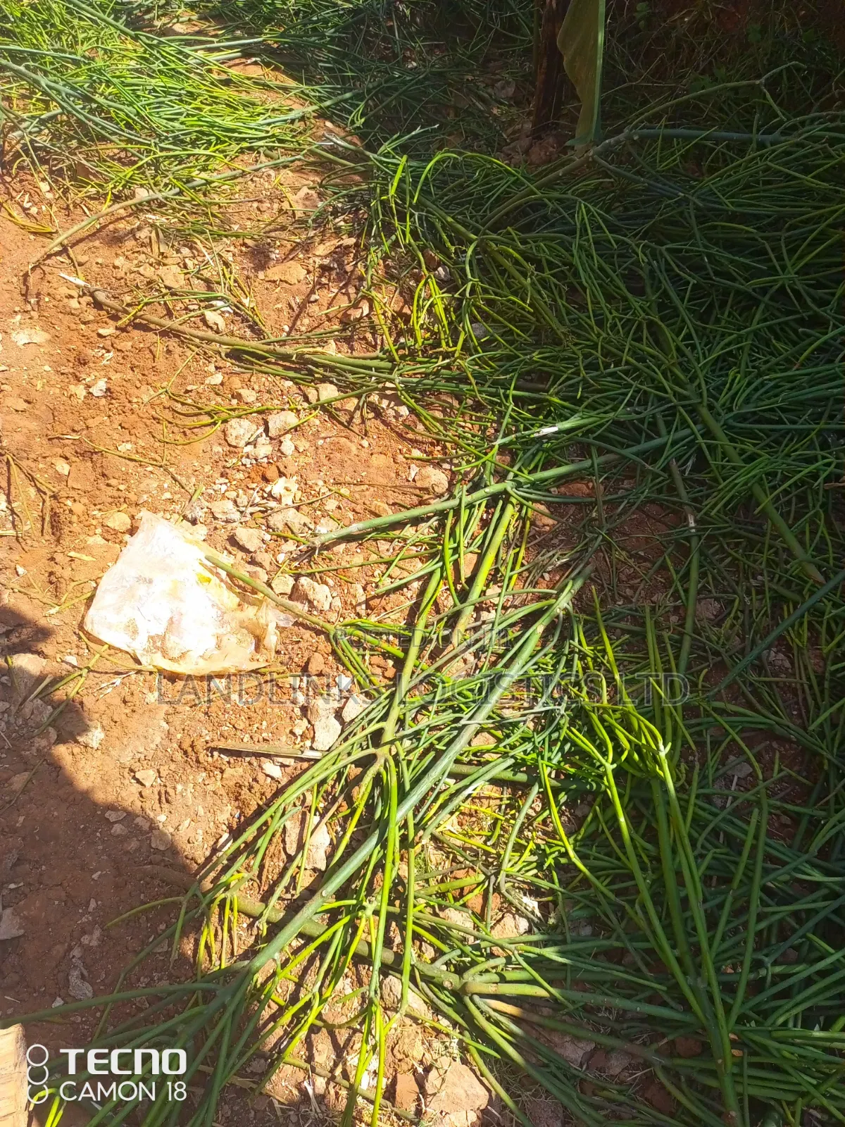 Kitui County Kasiku Location 70 Acres at 85k Per Acre in Kasigau