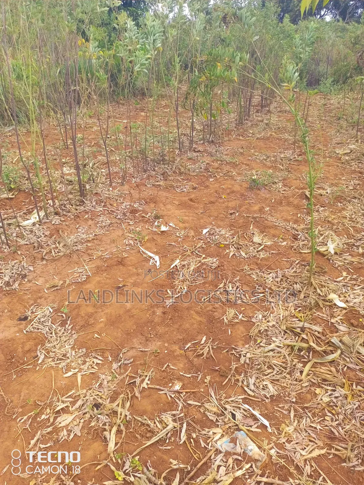 Mutumo Kitui  30 Acres Farming in Mutomo