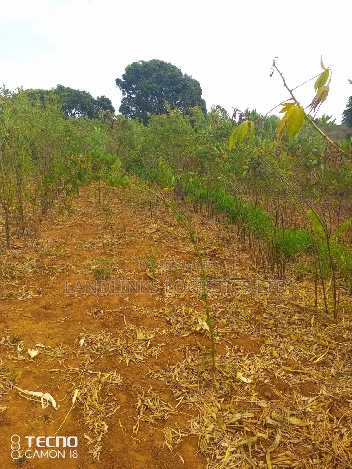 Mutumo Kitui  30 Acres Farming in Mutomo