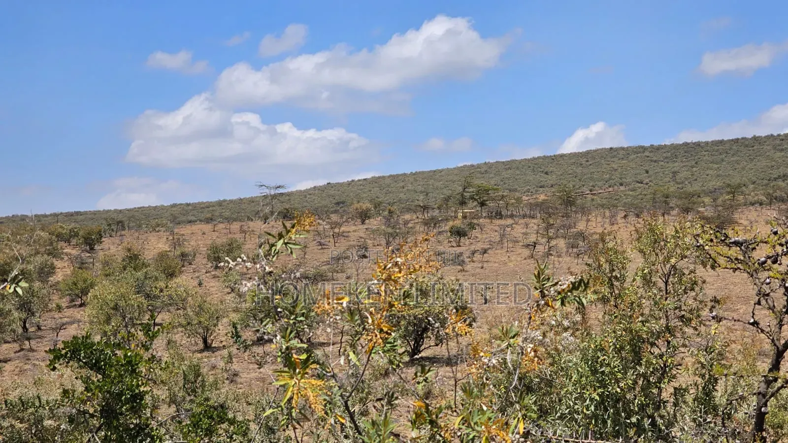 176 Acres Land for Sale In in Ewaso Kendong