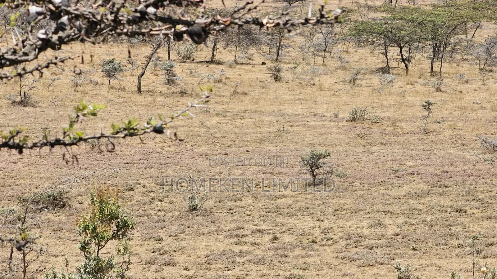 176 Acres Land for Sale In in Ewaso Kendong