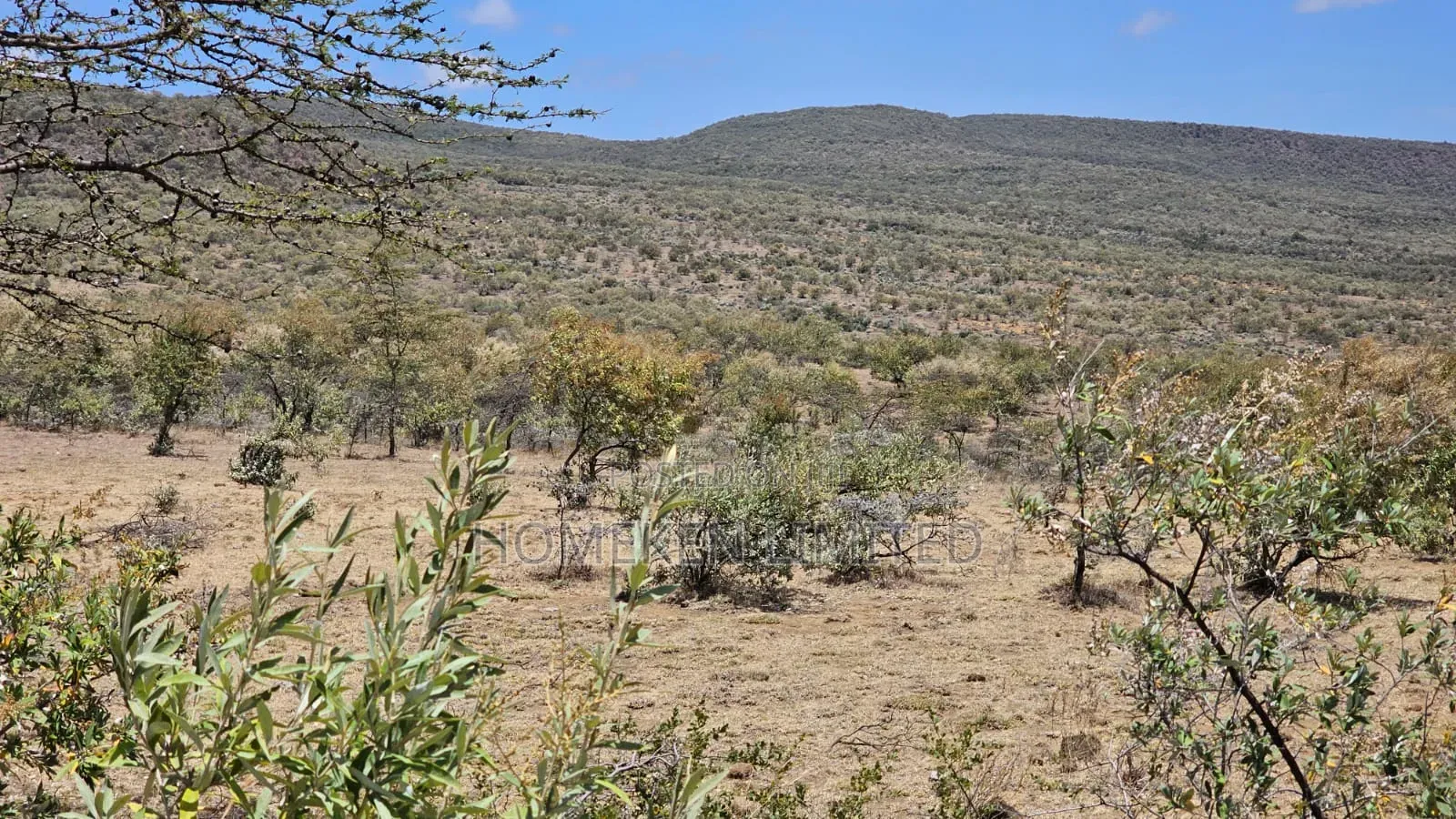 176 Acres Land for Sale In in Ewaso Kendong
