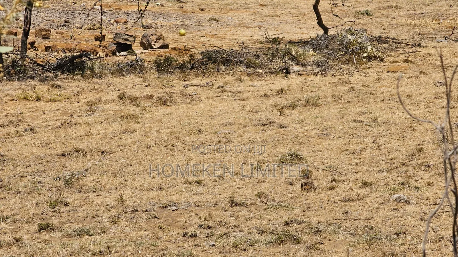 176 Acres Land for Sale In in Ewaso Kendong