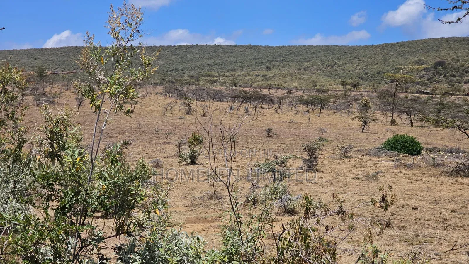 176 Acres Land for Sale In in Ewaso Kendong
