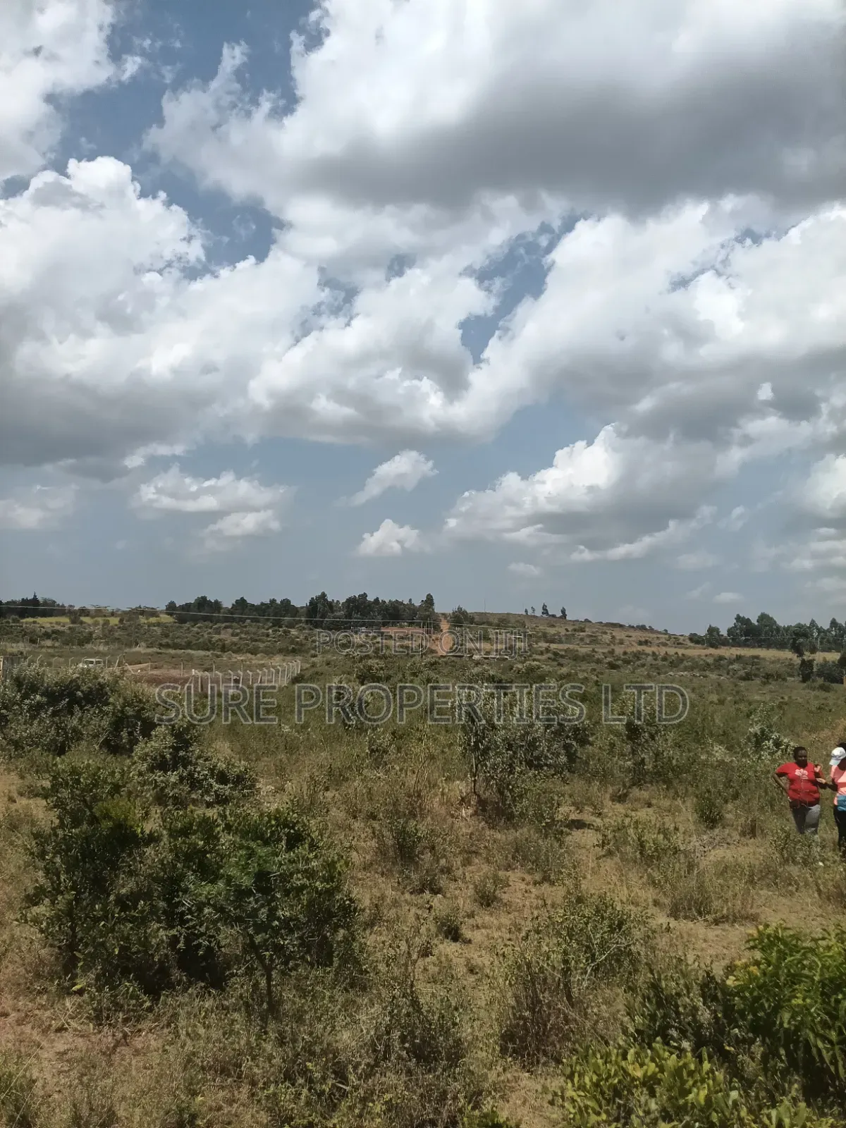 KIKUYU Kamangu Nachu in Kikuyu