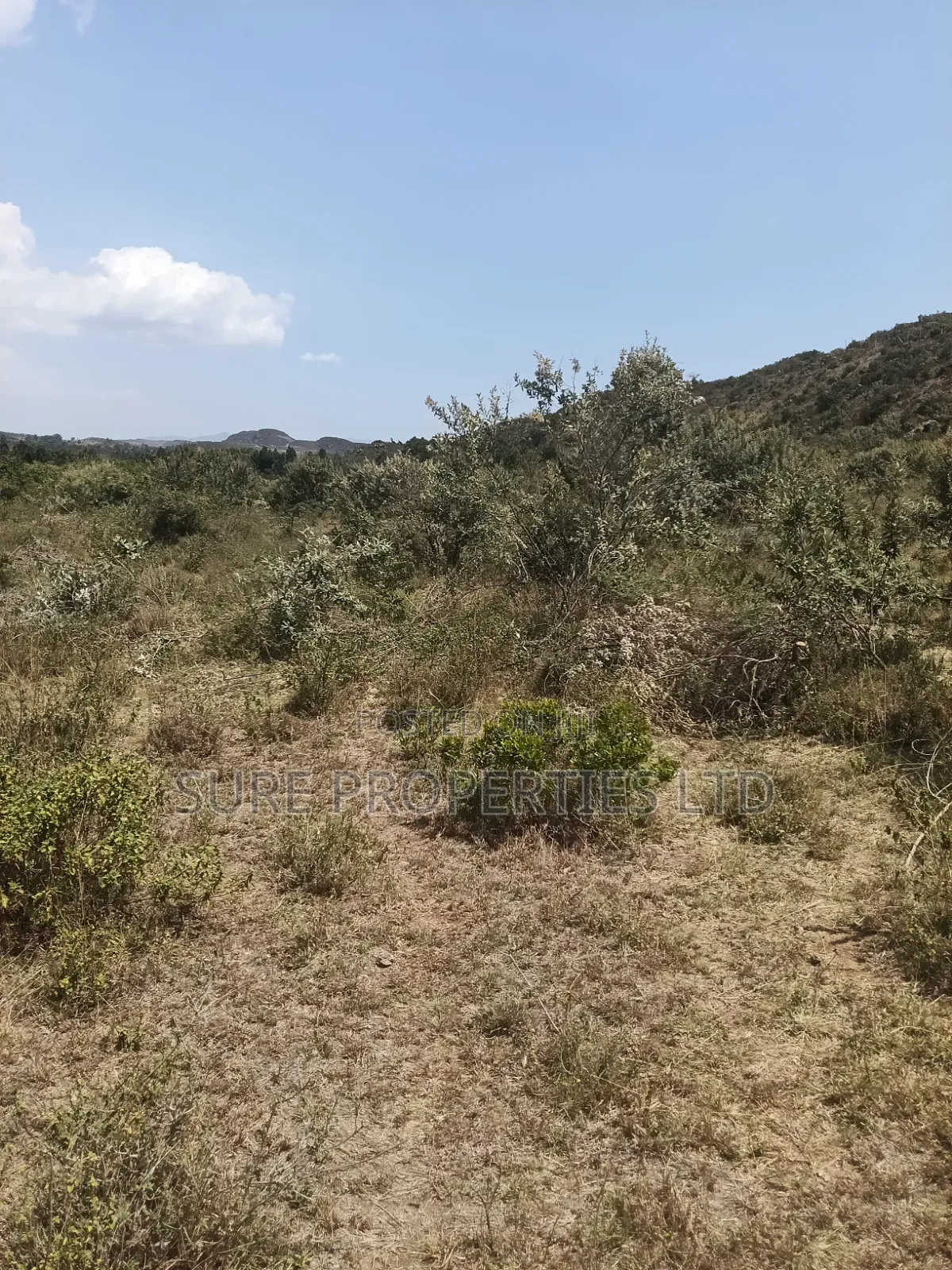 KIKUYU Kamangu Nachu in Kikuyu