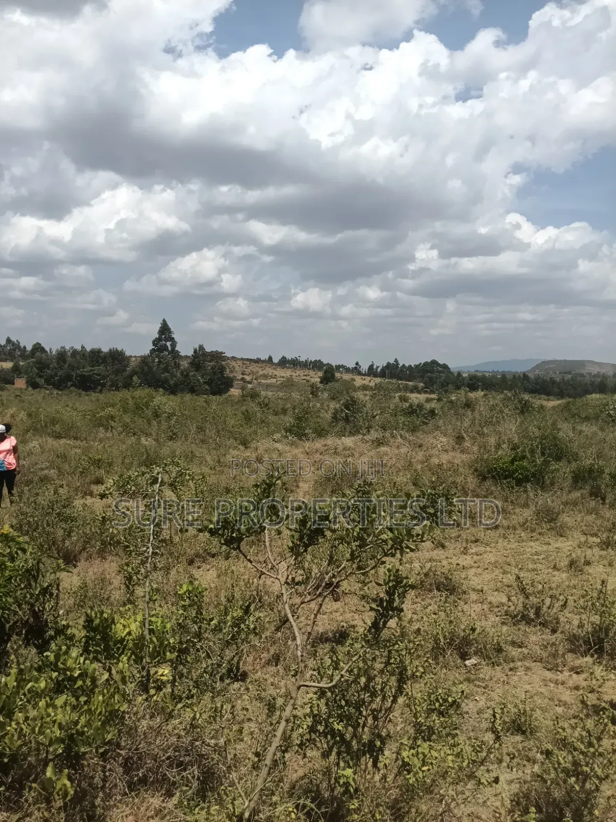 KIKUYU Kamangu Nachu in Kikuyu