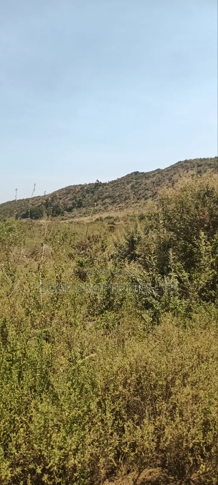 KIKUYU Kamangu Nachu in Kikuyu