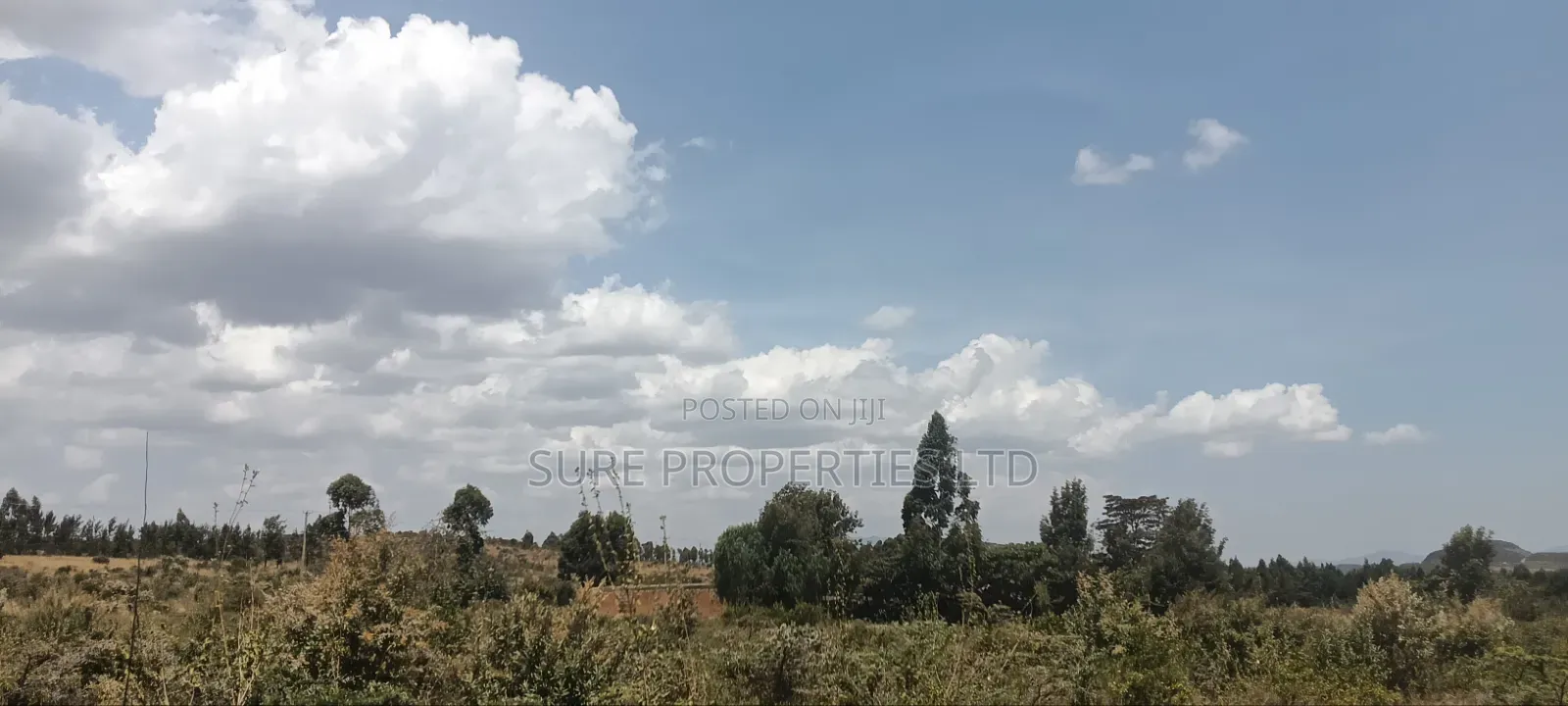 KIKUYU Kamangu Nachu in Kikuyu