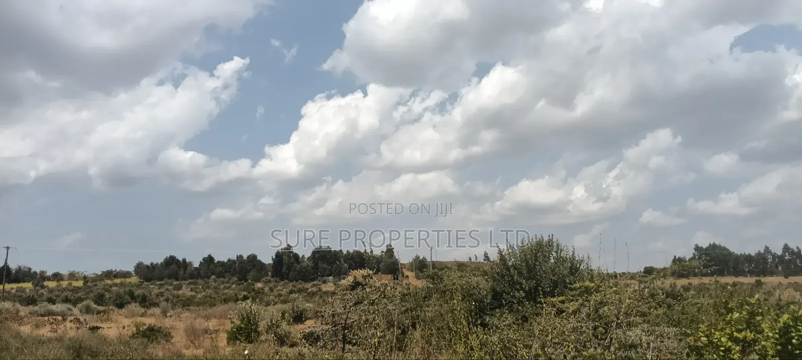 KIKUYU Kamangu Nachu in Kikuyu