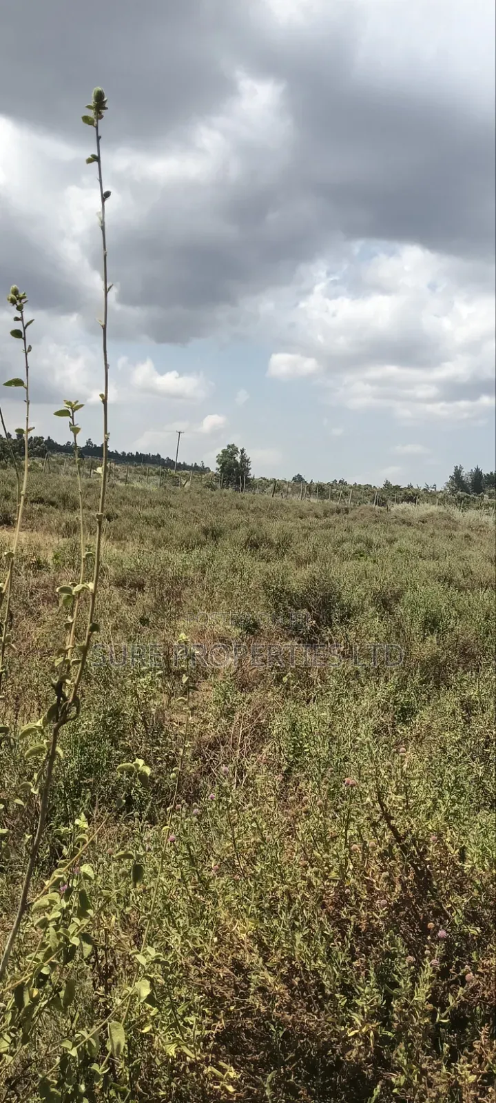 KIKUYU Kamangu Nachu in Kikuyu