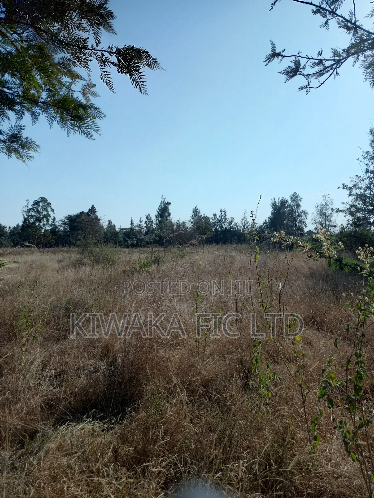 3 Acres for Sale in Ruai in Ruai