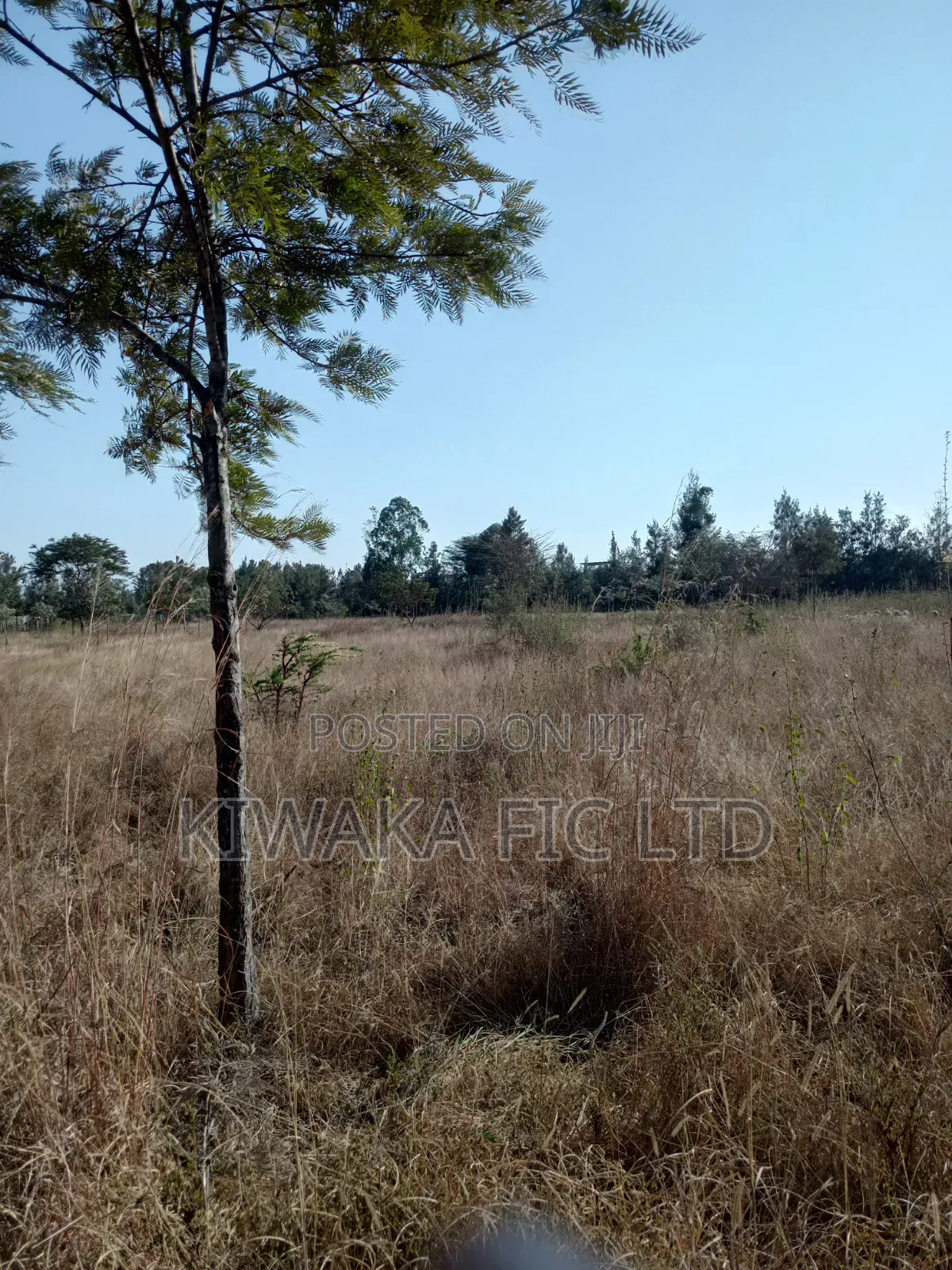 3 Acres for Sale in Ruai in Ruai