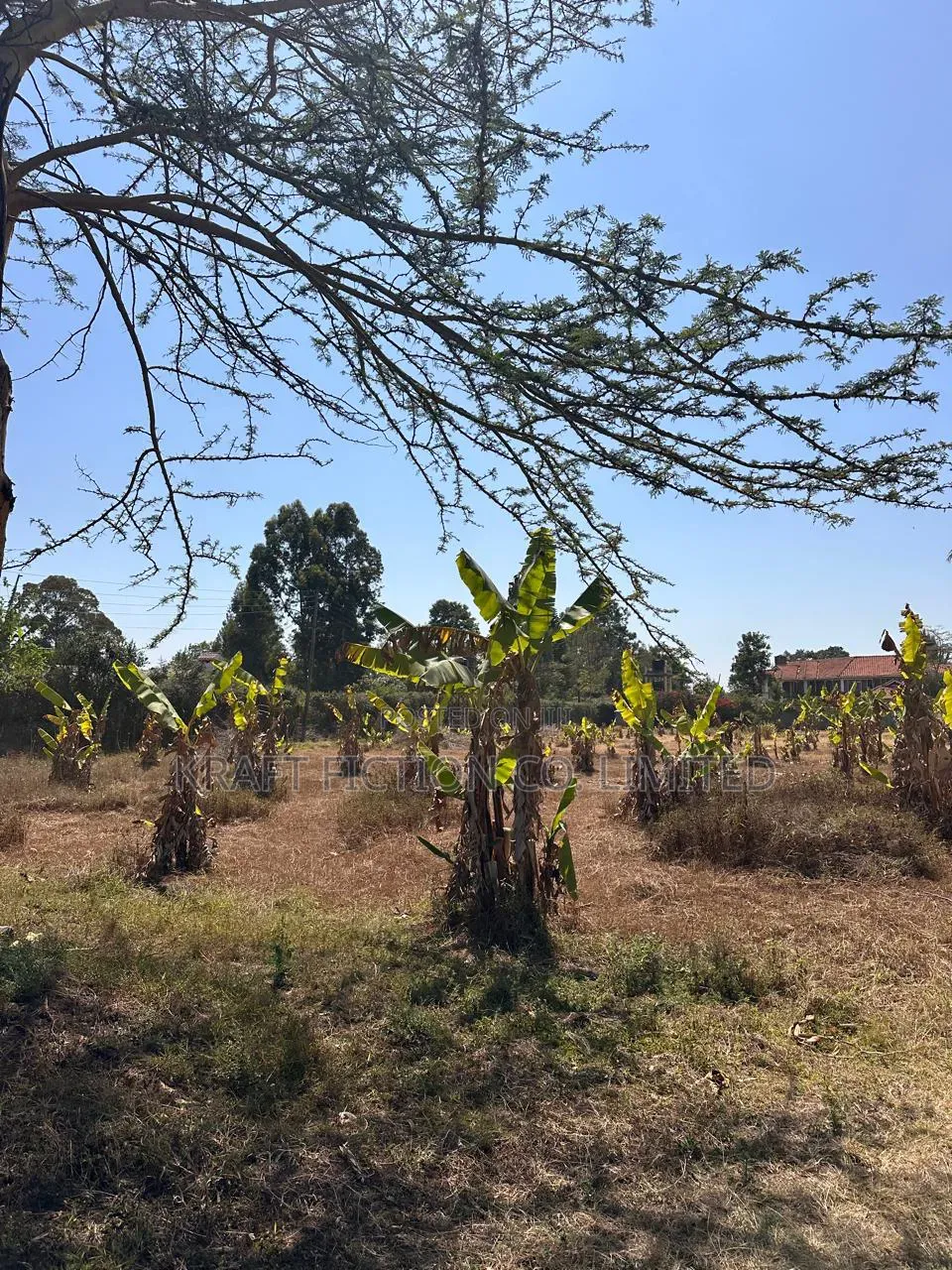 Prime 1-Acre Land for Sale in Karen | Silanga Road in Karen C