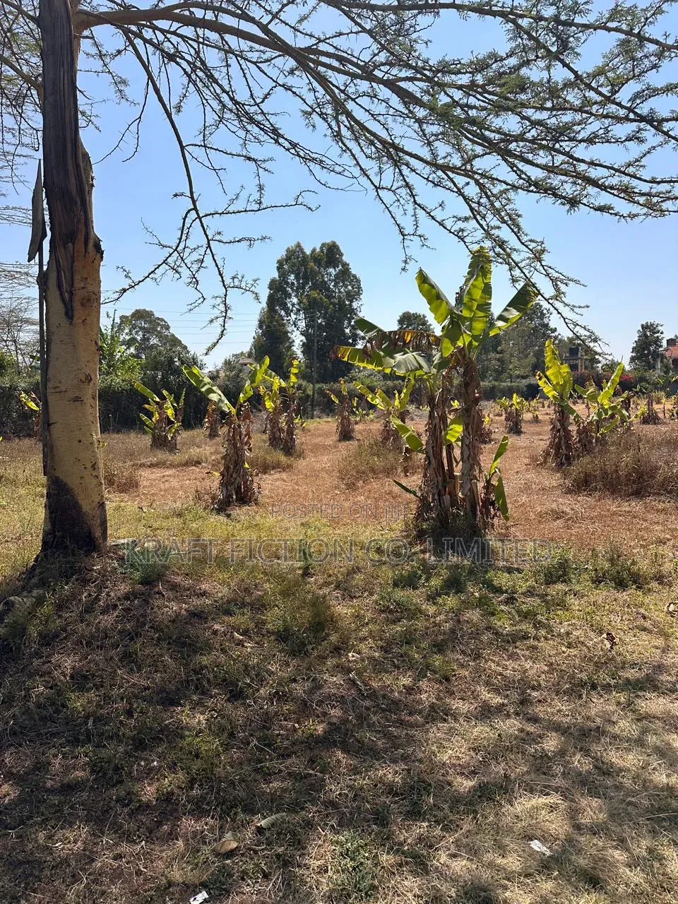 Prime 1-Acre Land for Sale in Karen | Silanga Road in Karen C