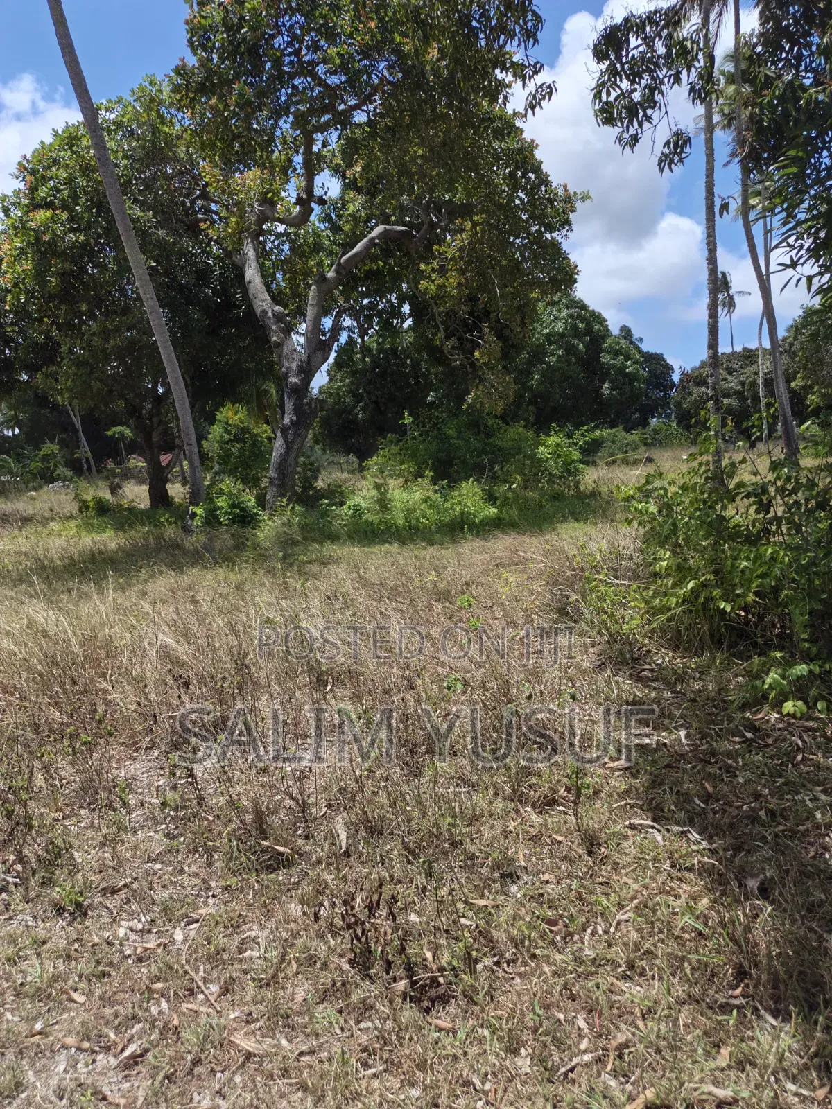 Land on Sale Matuga 4 Acres 3m Per Acre in Waa