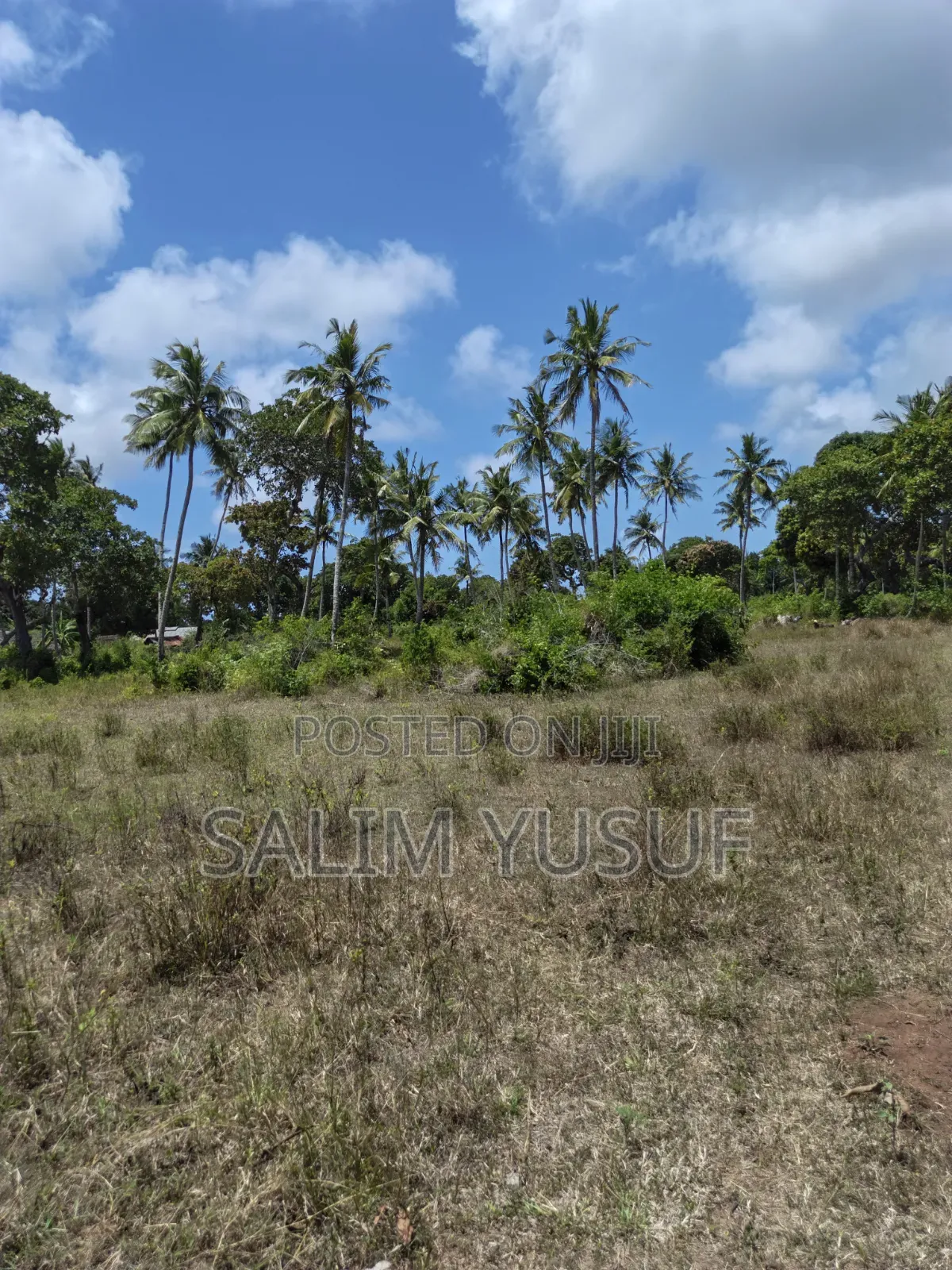 Land on Sale Matuga 4 Acres 3m Per Acre in Waa