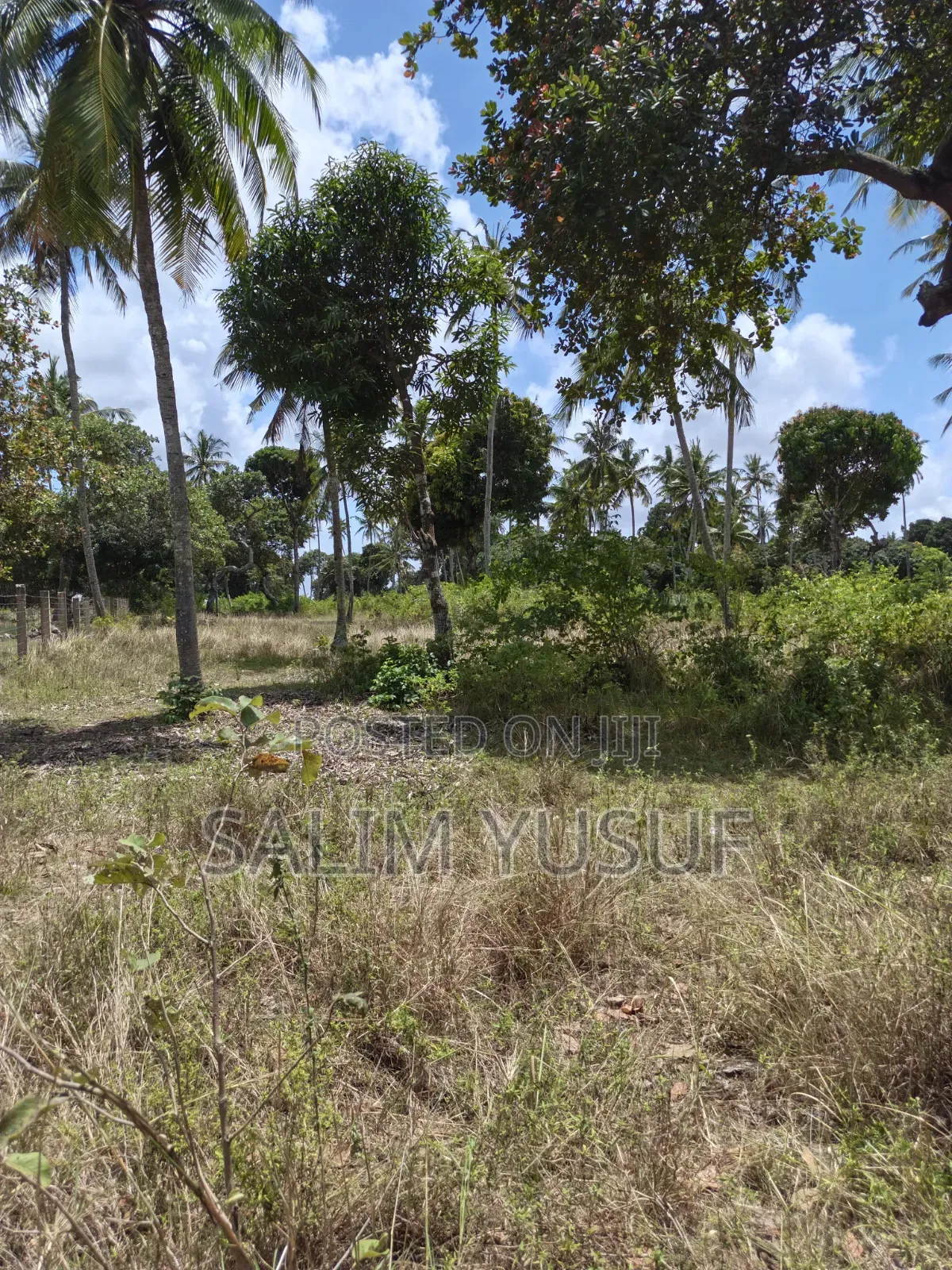 Land on Sale Matuga 4 Acres 3m Per Acre in Waa