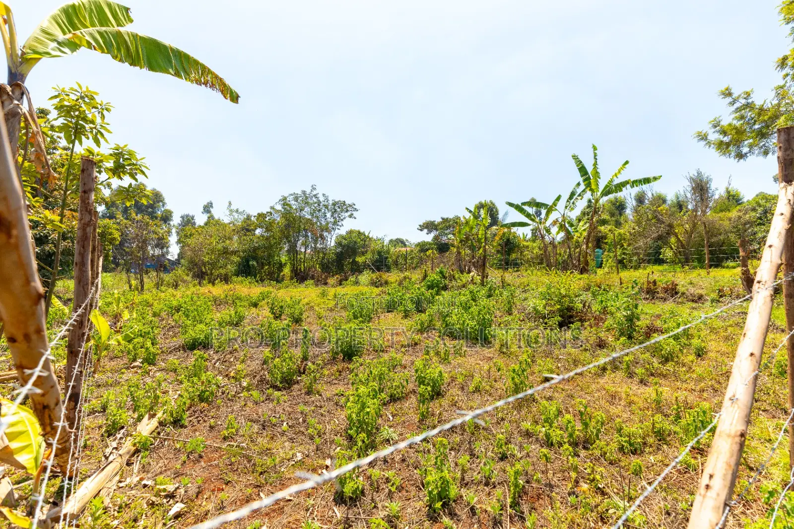 Prime Residential Plots for Sale in Kikuyu, Chungamali in Kikuyu