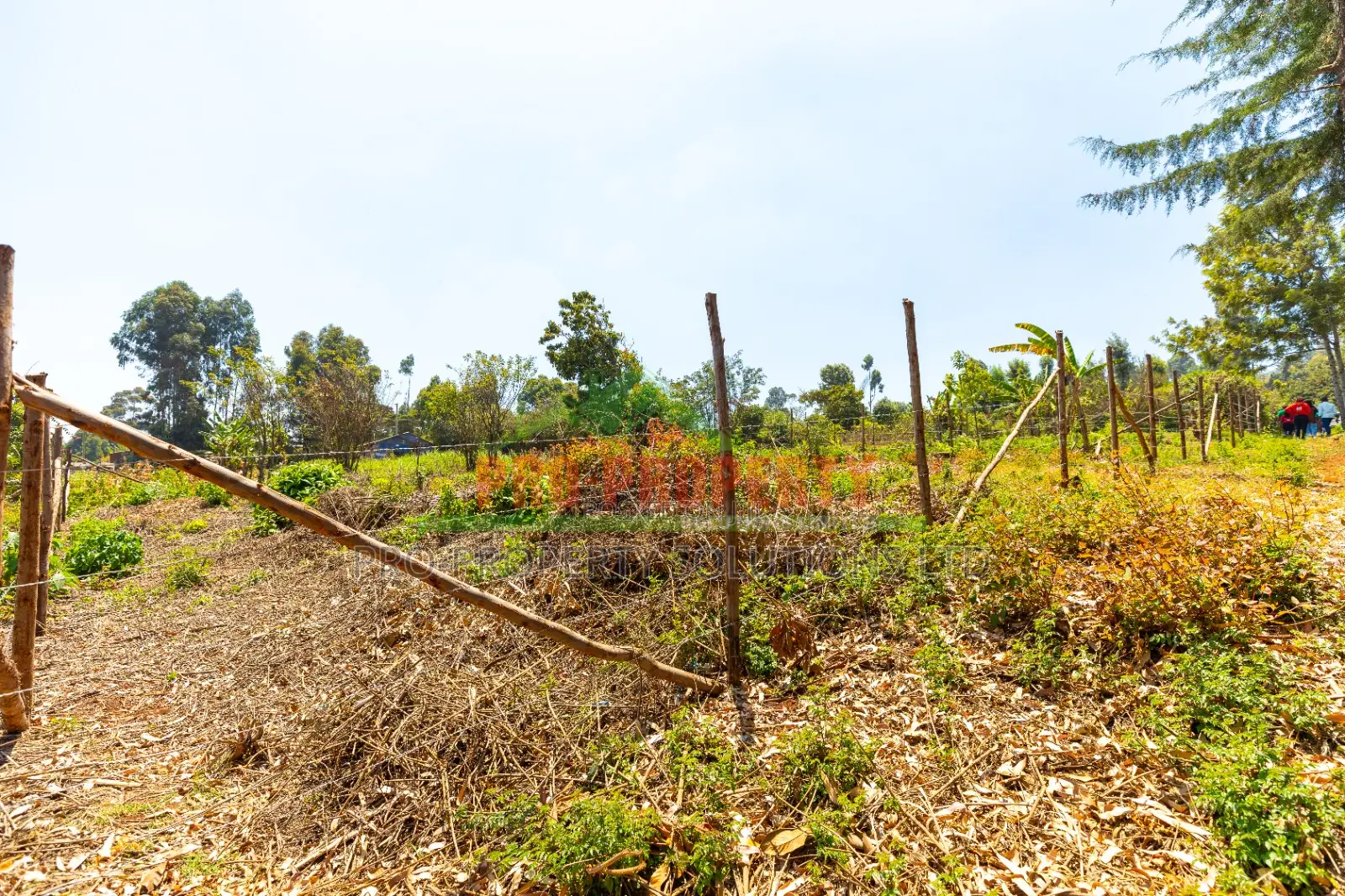 Residential Plots for Sale in Kikuyu, Chungamali in Kikuyu