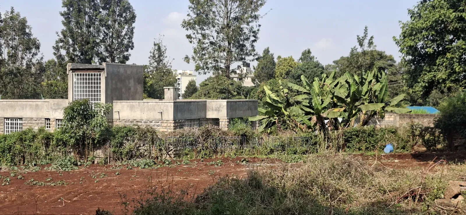  50×100 Plot for Lease – Kabete, Jathaini / Mwimuto, Kiambu County in Mamito