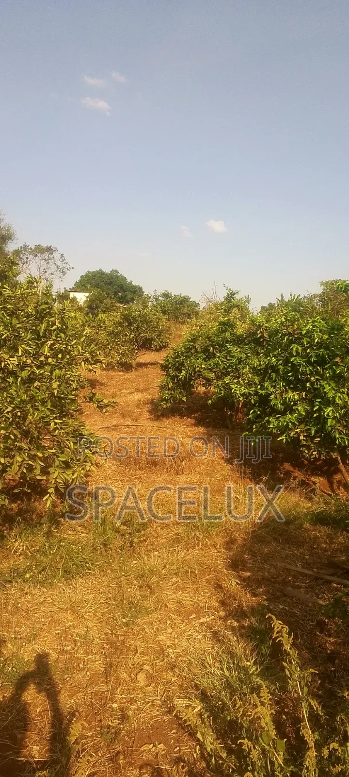 Thika 4.25 Acres Mixed Use Land in Thika CBD