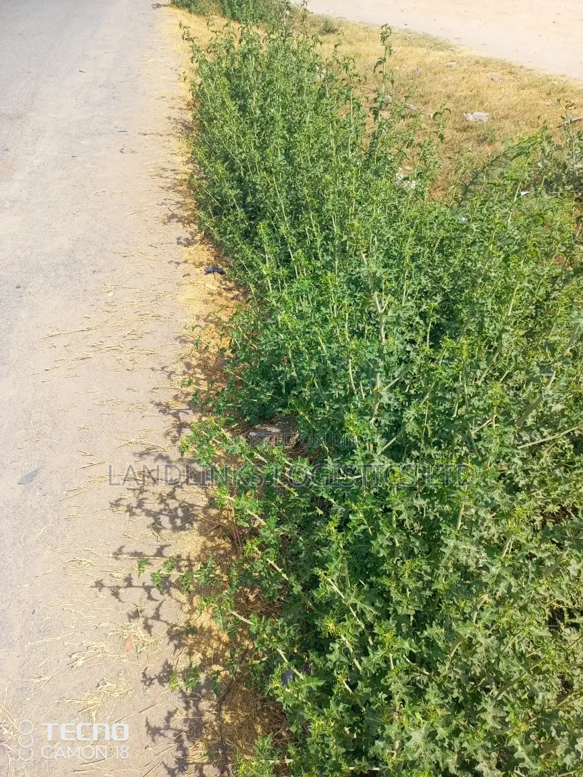 Kitengela Koropoi Area 5 Acres 10kms Off Namanga Rd in Kitengela