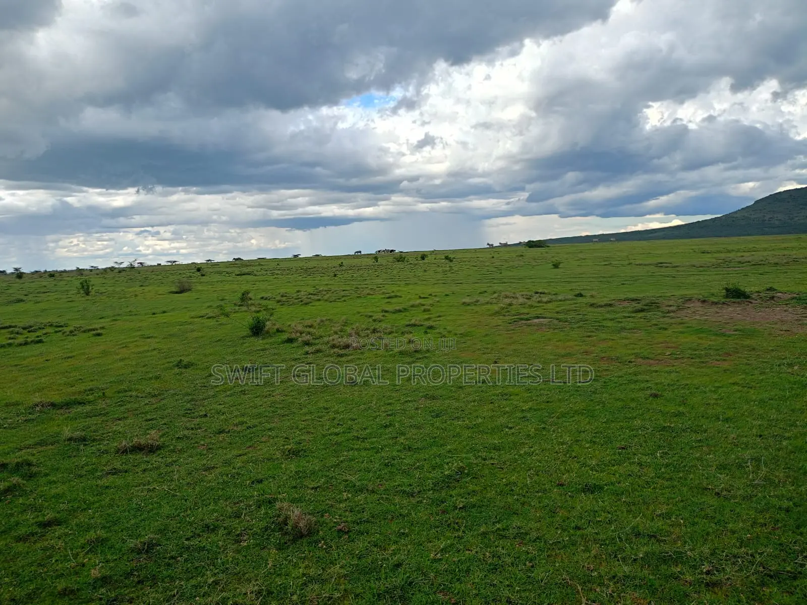 420 Acres in Laikipia East Next to Olpajeta Is Available for Sale in Nanyuki