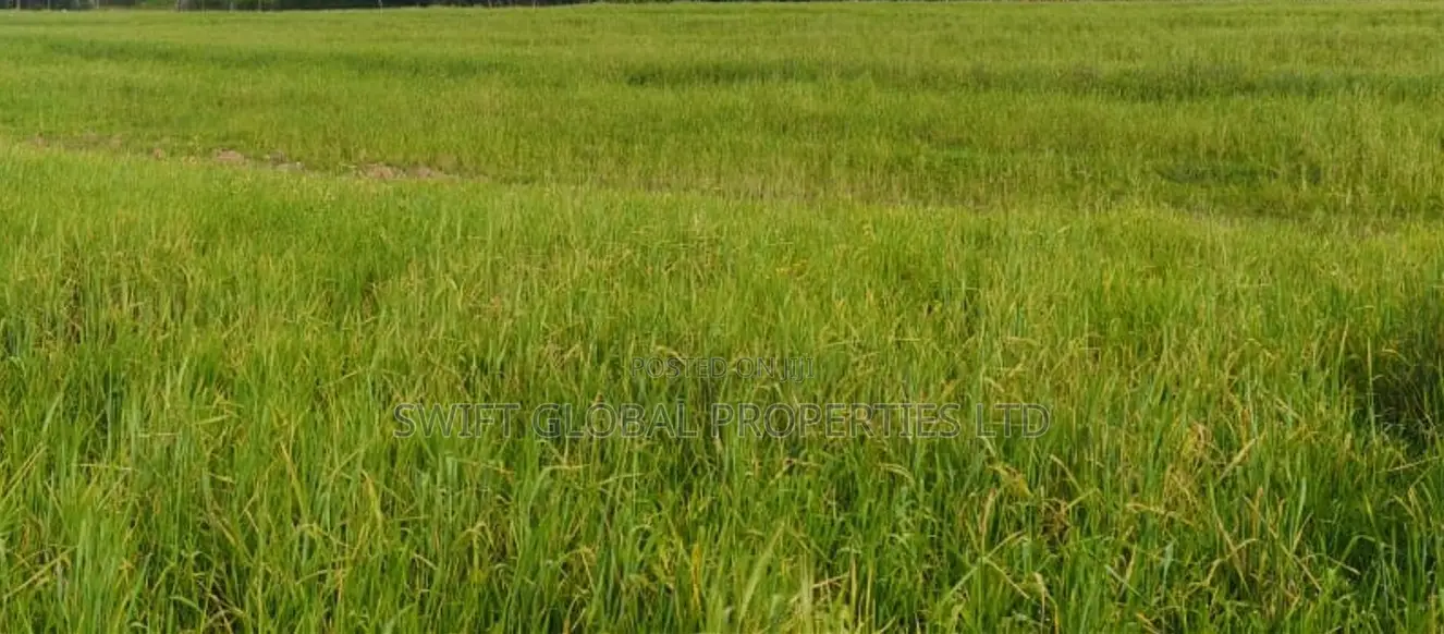 420 Acres in Laikipia East Next to Olpajeta Is Available for Sale in Nanyuki