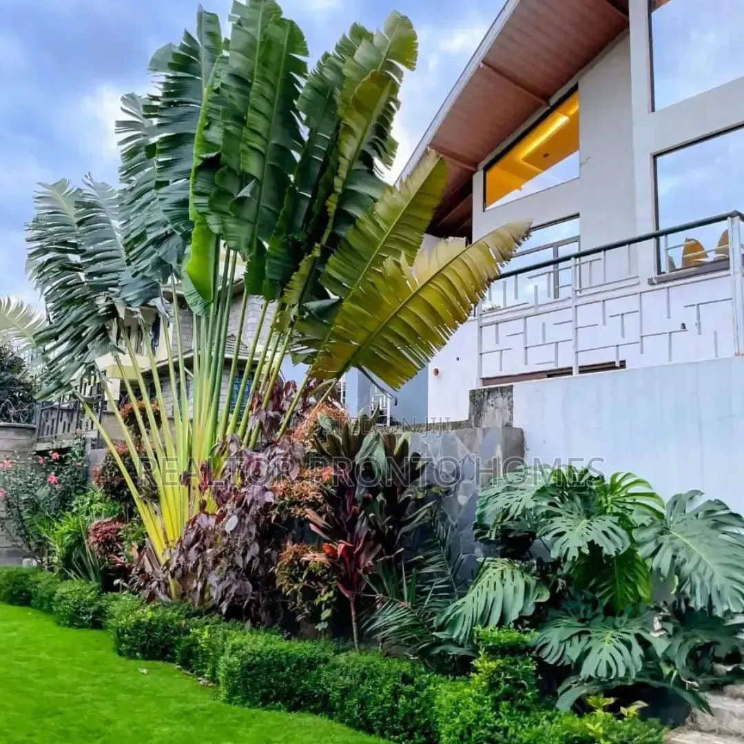 4bdrm Villa in Kiambu Mushroom Road for sale in Kiambu CBD