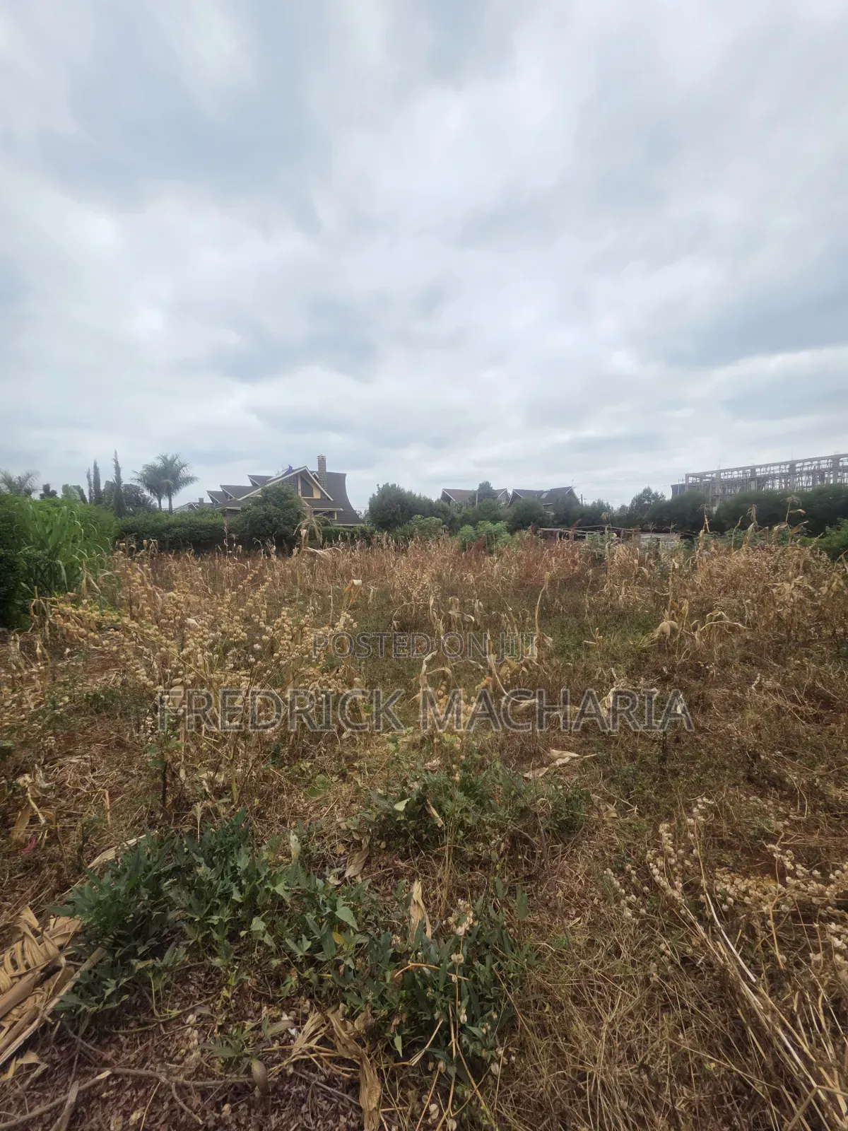Quarter Acre Residential Plot for Sale at Daykio Bustani in Kimbo