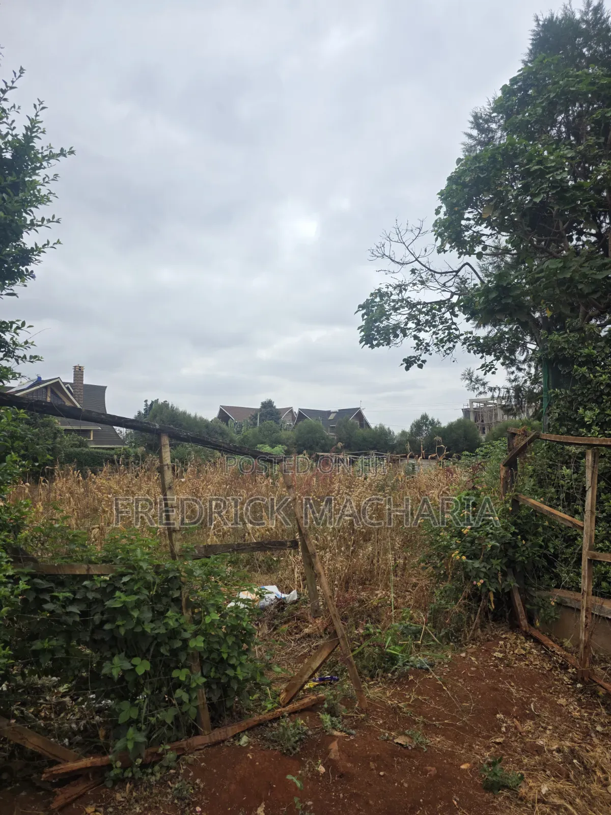 Quarter Acre Residential Plot for Sale at Daykio Bustani in Kimbo