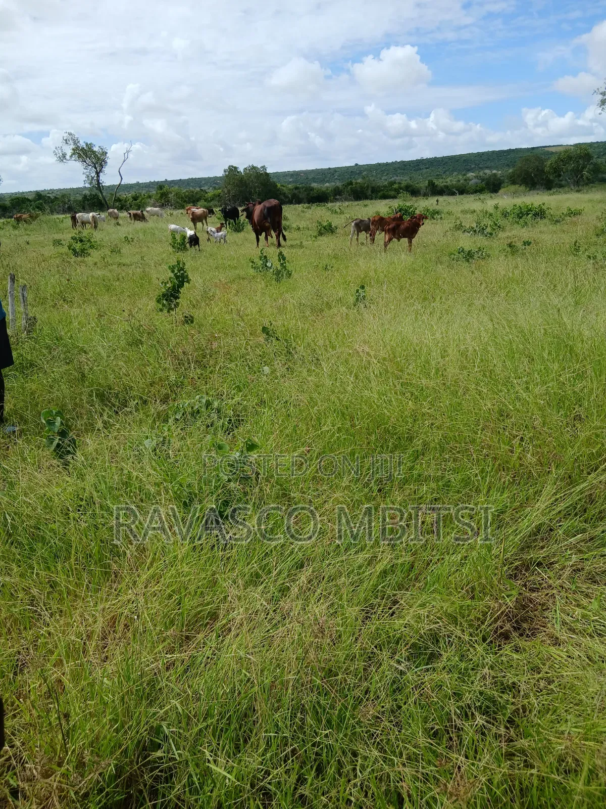 10 Acres Forsale in Kilifi Mavueni. in Kilifi Town