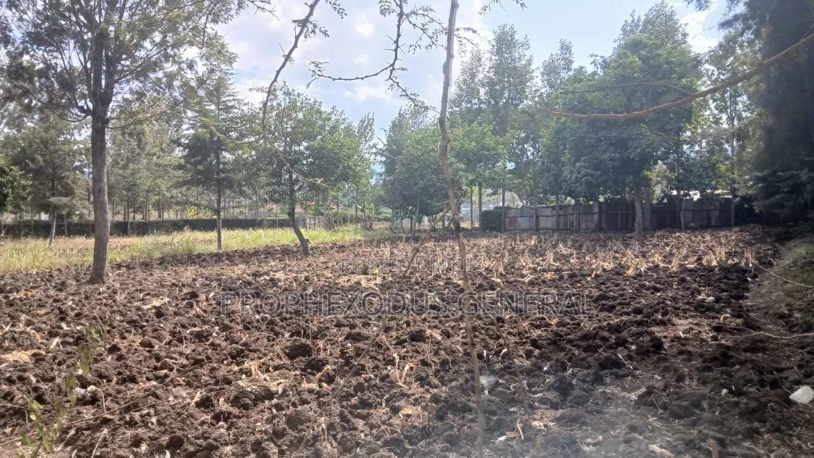 1/4 Plots for Sale in Ongata Rongai Nkoroi Kamura Oloika Road. in Nkoroi