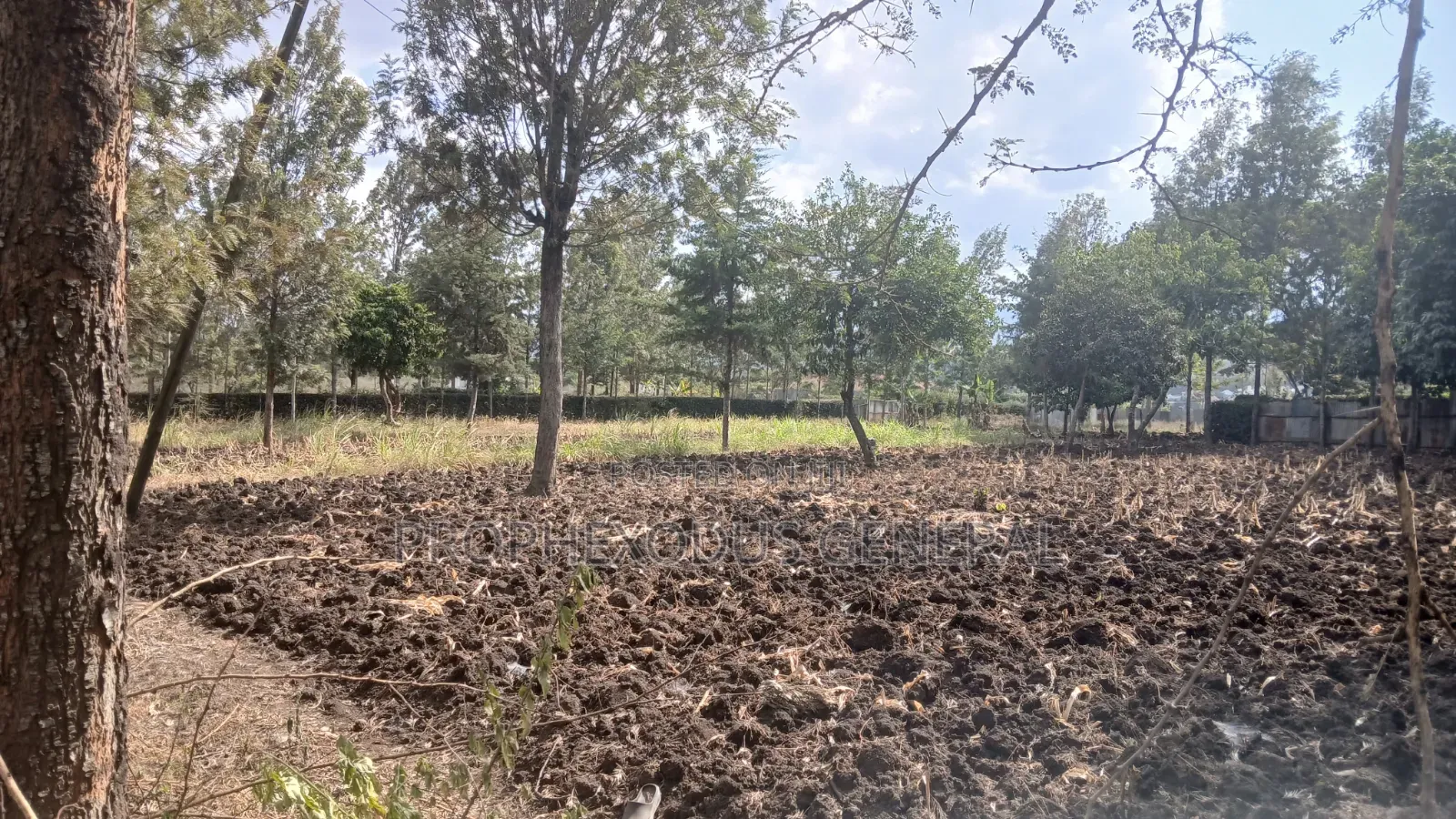 1/4 Plots for Sale in Ongata Rongai Nkoroi Kamura Oloika Road. in Nkoroi